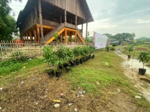 WhatsApp Image 2023-11-13 at 8.29.13 PM (1)