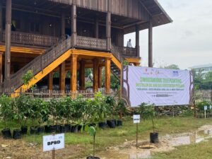 WhatsApp Image 2023-11-13 at 8.29.13 PM